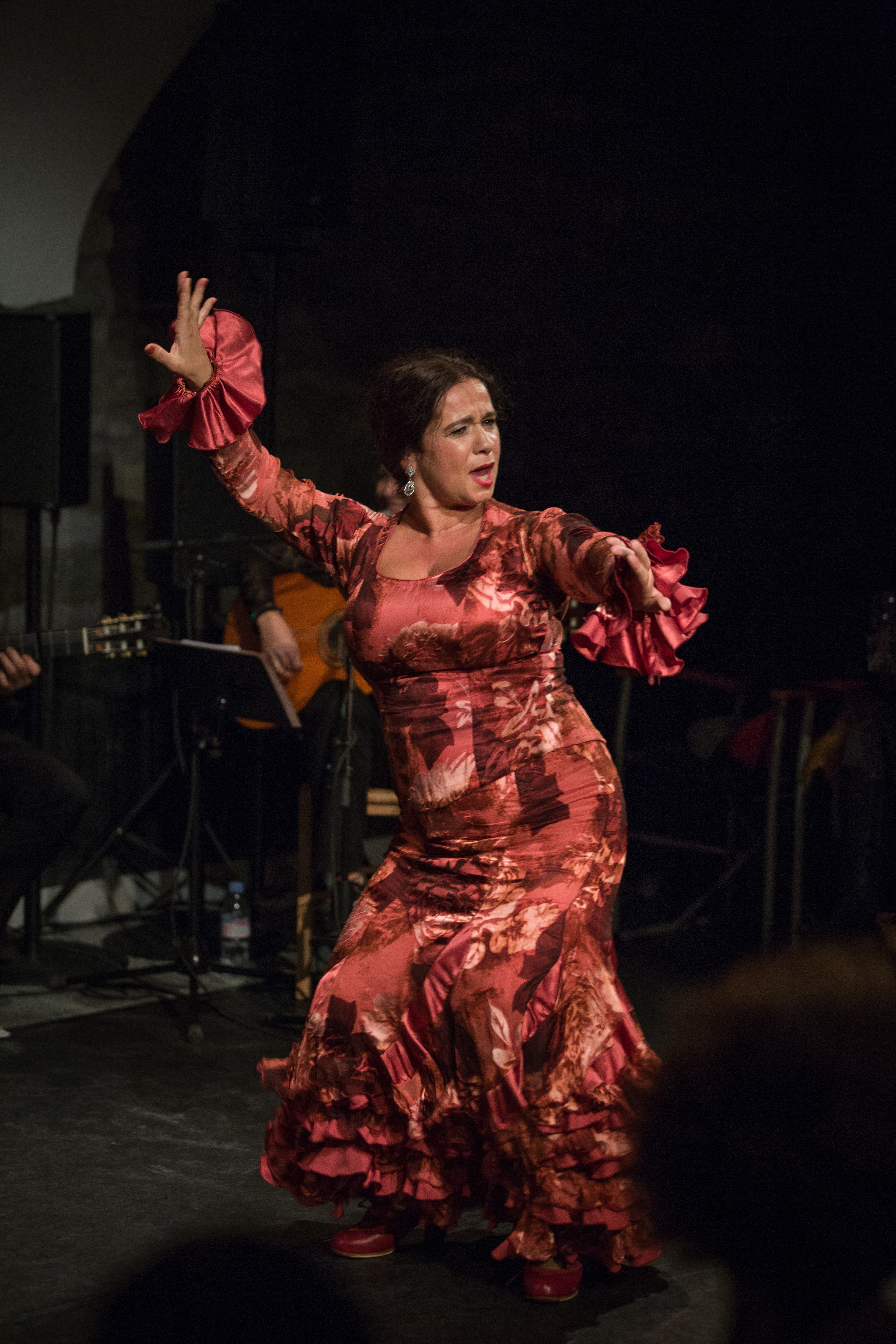 FlamencoFestivalZH2016_169