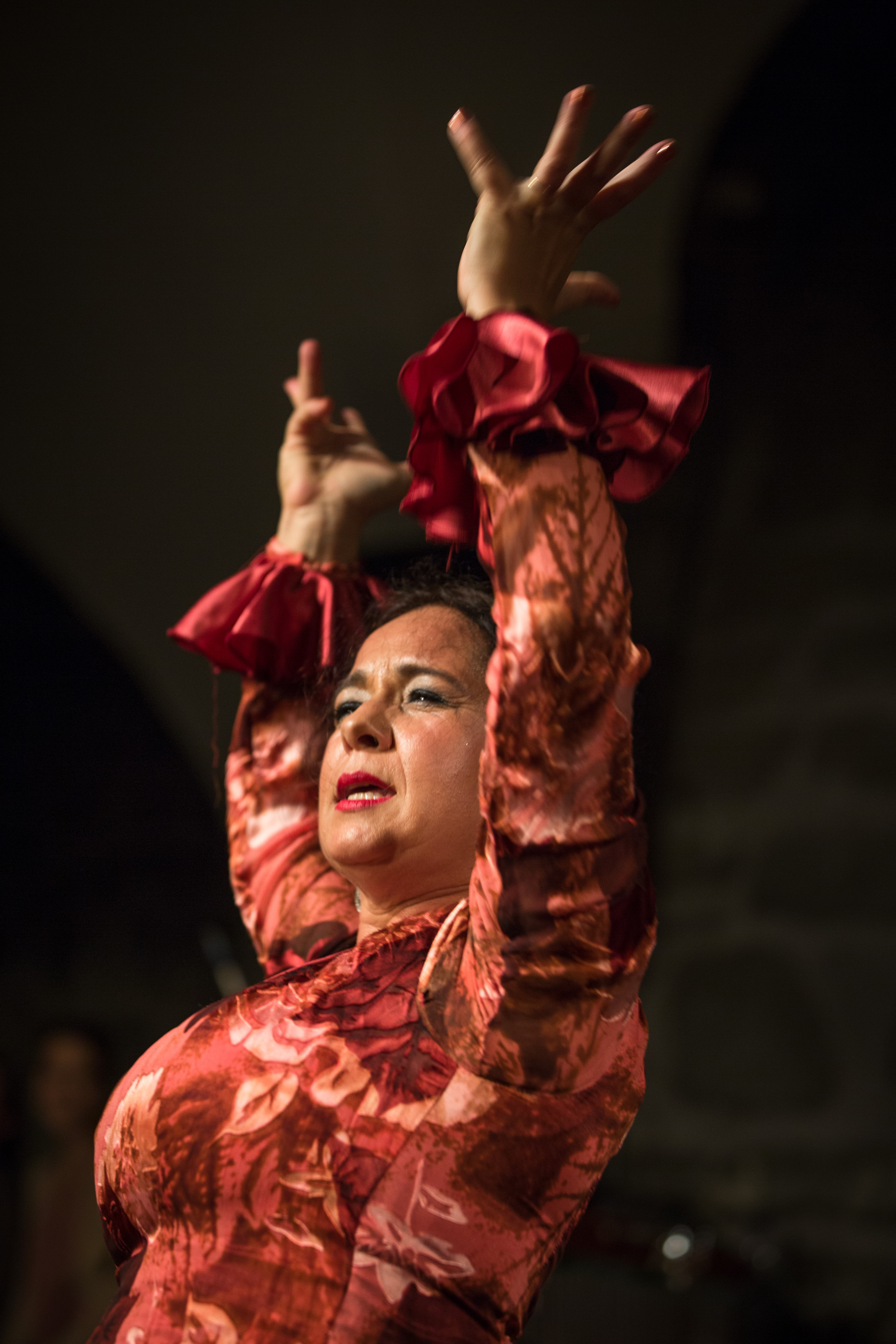 FlamencoFestivalZH2016_113
